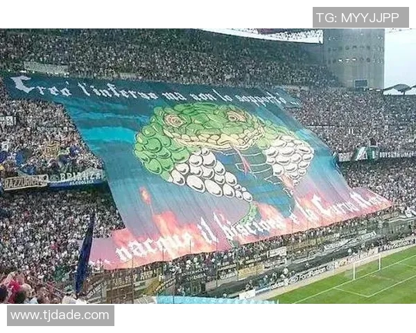 全球足球大牌球星聚焦绿茵赛场点燃无数球迷热情