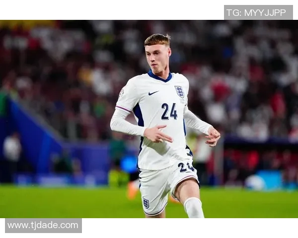 英格兰足球现役球星全解析：技术特点与未来发展潜力